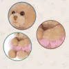 Bearington Bella Plush Ballerina Stuffed Animal Teddy Bear, 6 Inch -Best Toys Store GUEST 127dba5d 7192 483e 9e9a 77d2237374bf