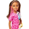 Barbie Skipper Doll And Dog Walker Set With Puppy And Accessories First Jobs -Best Toys Store GUEST 23067206 ca95 4fd7 b53b 9422ba1c6643