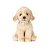 Living Nature Giant Golden Lab Puppy Plush Toy 1 Living Nature Giant Golden Lab Puppy Plush Toy -Best Toys Store GUEST 425c1b70 4bf7 4f8b b39d a8affbca6fa7