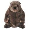 Douglas Chuckwood Groundhog Plush Stuffed Animal -Best Toys Store GUEST 72f9215e bba6 4566 8ff4 70990e3d4113