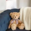 Bearington Theodore Brown Plush Stuffed Animal Teddy Bear, 17 Inches