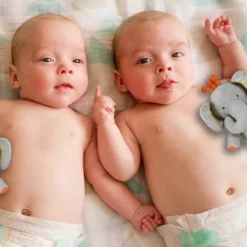 Tickle & Main We Are Twins, Baby And Toddler Twin Gift Set, Keepsake Book And Set Of 2 Plush Elephant Rattles For Boys And Girls -Best Toys Store GUEST 99587cce 4d71 4ff8 b808 6b053e943e56