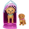Barbie Pup Adoption Playset And Doll With Black Hair, 2 Puppies And Color-Change